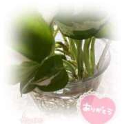 ヒメ日記 2025/03/05 18:06 投稿 あやね 奥様鉄道69 仙台店