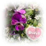 ヒメ日記 2025/03/25 11:06 投稿 あやね 奥様鉄道69 仙台店