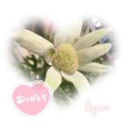 ヒメ日記 2025/04/08 21:43 投稿 あやね 奥様鉄道69 仙台店