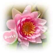 ヒメ日記 2025/07/23 07:44 投稿 あやね 奥様鉄道69 仙台店