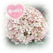 ヒメ日記 2025/08/01 10:56 投稿 あやね 奥様鉄道69 仙台店