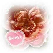 ヒメ日記 2025/08/17 11:02 投稿 あやね 奥様鉄道69 仙台店