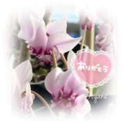 ヒメ日記 2025/10/21 15:54 投稿 あやね 奥様鉄道69 仙台店