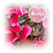 ヒメ日記 2025/12/02 10:56 投稿 あやね 奥様鉄道69 仙台店