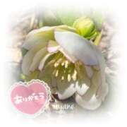 ヒメ日記 2026/03/13 09:16 投稿 あやね 奥様鉄道69 仙台店