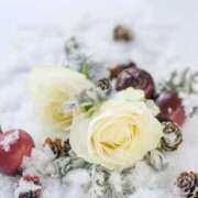 ヒメ日記 2025/03/05 18:10 投稿 えりな 奥様鉄道69 仙台店