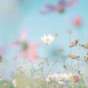 ヒメ日記 2025/09/18 16:51 投稿 えりな 奥様鉄道69 仙台店