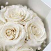 ヒメ日記 2025/11/21 16:26 投稿 えりな 奥様鉄道69 仙台店