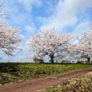 ヒメ日記 2025/06/13 14:36 投稿 すずこ 奥様鉄道69 仙台店