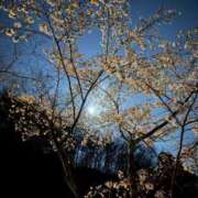 ヒメ日記 2025/06/14 00:36 投稿 すずこ 奥様鉄道69 仙台店