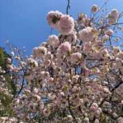 ヒメ日記 2025/03/20 14:56 投稿 みいな 奥様鉄道69 仙台店