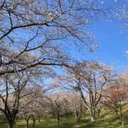 ヒメ日記 2026/04/18 12:46 投稿 みいな 奥様鉄道69 仙台店