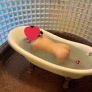 ヒメ日記 2025/01/11 07:36 投稿 ももこ 奥様鉄道69 仙台店