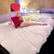 ヒメ日記 2026/02/19 16:16 投稿 ももこ 奥様鉄道69 仙台店