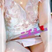 ヒメ日記 2025/11/14 12:02 投稿 こずえ 艶熟妻 京都店