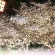 ヒメ日記 2025/04/07 11:53 投稿 あさか 奥様電車