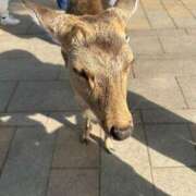 ヒメ日記 2026/02/19 11:56 投稿 あさか 奥様電車