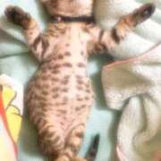 ヒメ日記 2026/03/27 11:44 投稿 あさか 奥様電車