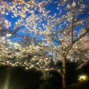 ヒメ日記 2026/03/31 12:05 投稿 あさか 奥様電車