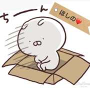 ヒメ日記 2025/03/30 07:30 投稿 高杉　ほしの エテルナ京都