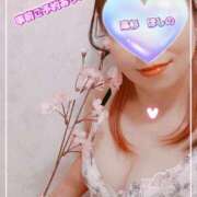 ヒメ日記 2025/04/05 23:25 投稿 高杉　ほしの エテルナ京都