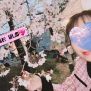 ヒメ日記 2025/04/18 14:29 投稿 高杉　ほしの エテルナ京都