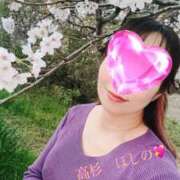 ヒメ日記 2026/04/02 08:15 投稿 高杉　ほしの エテルナ京都