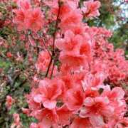 ヒメ日記 2025/05/31 22:05 投稿 牧村 ゆうこ ほっこりーヌ谷九店