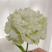 ヒメ日記 2025/07/28 16:07 投稿 牧村 ゆうこ ほっこりーヌ谷九店