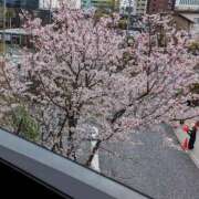 ヒメ日記 2025/04/08 10:56 投稿 小谷 熟女の風俗最終章 新横浜店