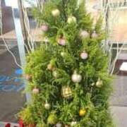 ヒメ日記 2024/12/25 17:44 投稿 村井 品川やすらぎ