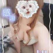 ヒメ日記 2024/12/31 20:12 投稿 やよい リアル 日本橋店