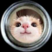 ヒメ日記 2025/06/17 12:08 投稿 やよい リアル 日本橋店