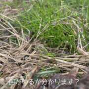 ヒメ日記 2025/11/22 12:32 投稿 まみ 梅田アバンチュール