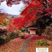 ヒメ日記 2025/11/27 09:56 投稿 まみ 梅田アバンチュール