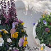 ヒメ日記 2025/12/31 11:12 投稿 まみ 梅田アバンチュール