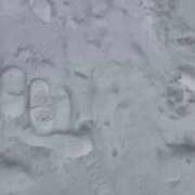 ヒメ日記 2026/01/26 18:22 投稿 まみ 梅田アバンチュール