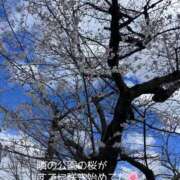 ヒメ日記 2026/03/29 10:09 投稿 まみ 梅田アバンチュール