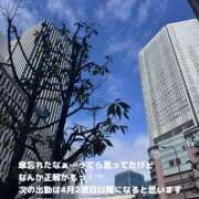 ヒメ日記 2026/03/31 09:52 投稿 まみ 梅田アバンチュール