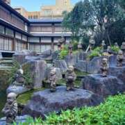まみ ただいま、本の虫🪲   ⭐︎まみ⭐︎ 梅田アバンチュール