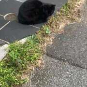 ヒメ日記 2025/10/22 18:15 投稿 ひかり ファッションヘルス カリスマ