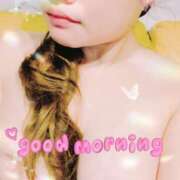 ヒメ日記 2024/12/17 07:11 投稿 さつき ギン妻パラダイス 和歌山店