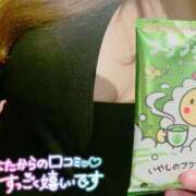 ヒメ日記 2025/03/31 16:15 投稿 さつき ギン妻パラダイス 和歌山店