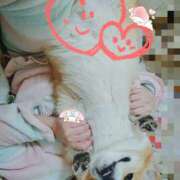 ヒメ日記 2025/04/03 11:55 投稿 さつき ギン妻パラダイス 和歌山店