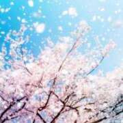 ヒメ日記 2025/04/11 10:10 投稿 さつき ギン妻パラダイス 和歌山店