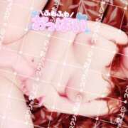 ヒメ日記 2025/05/19 10:10 投稿 さつき ギン妻パラダイス 和歌山店