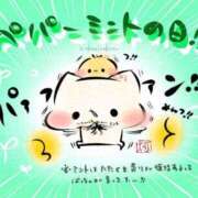 ヒメ日記 2025/06/20 16:40 投稿 さつき ギン妻パラダイス 和歌山店