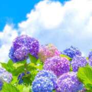 ヒメ日記 2025/06/22 09:35 投稿 さつき ギン妻パラダイス 和歌山店