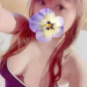 ヒメ日記 2025/06/26 13:20 投稿 さつき ギン妻パラダイス 和歌山店