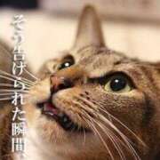 ヒメ日記 2025/08/16 22:10 投稿 さつき ギン妻パラダイス 和歌山店